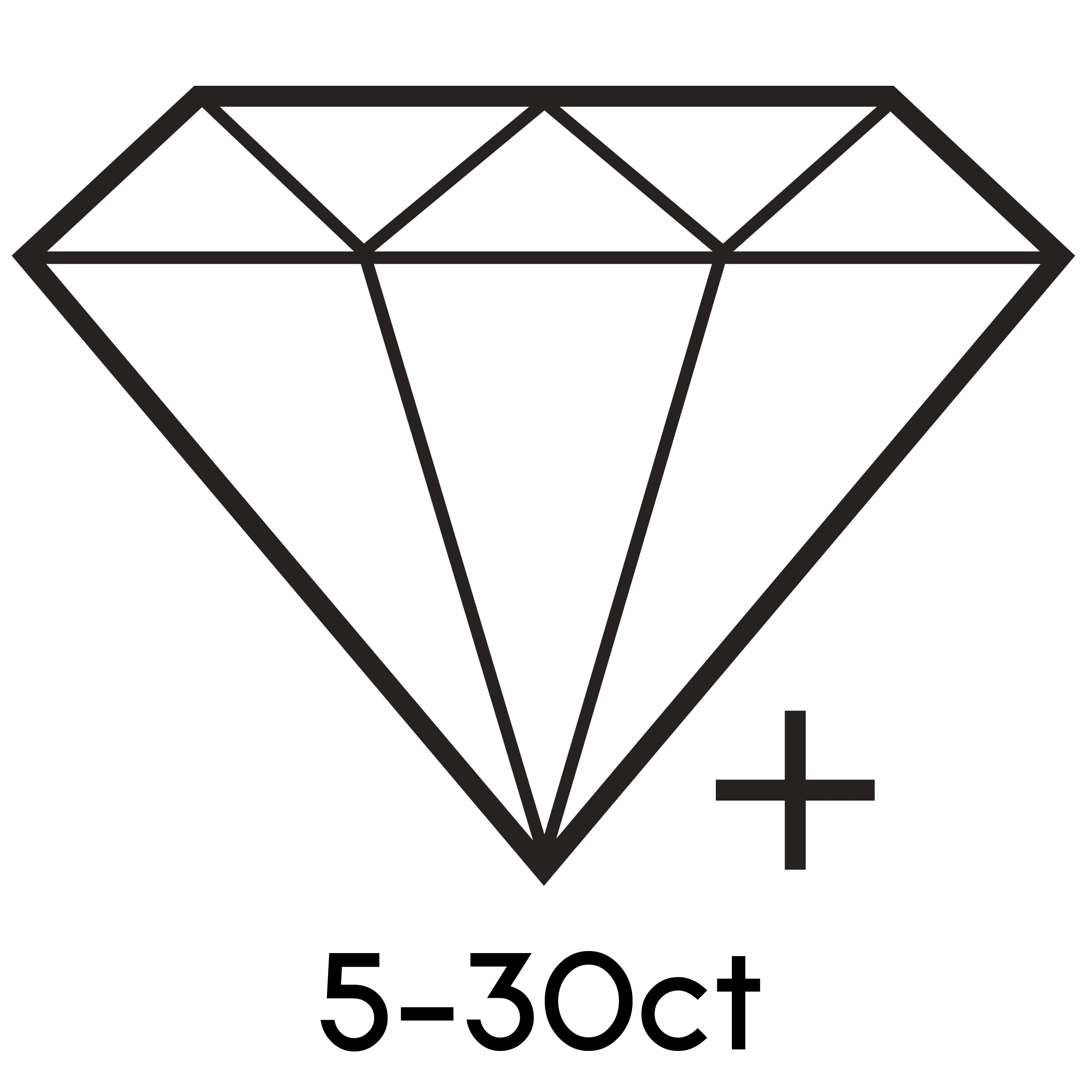 LARGE CERTIFIED STONES